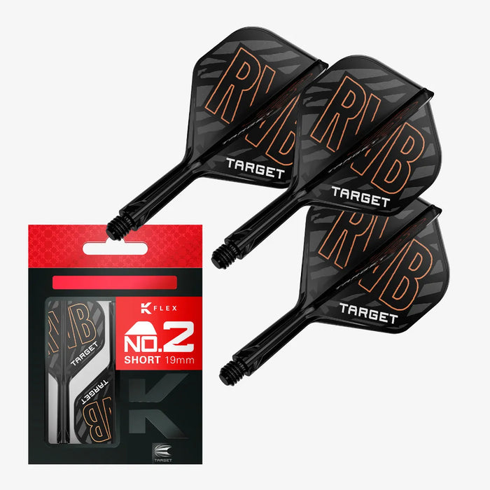 RAYMOND VAN BARNEVELD K-FLEX FLIGHT SYSTEM NO2